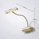 Rakel LED picture light, flexible arm, matt brass