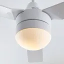 Starluna Andi ceiling fan with light, E14