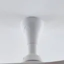 Starluna Borga LED ceiling fan, 3 blades, white