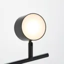 Lindby Marrie LED spotlight, black, 2-bulb, rod