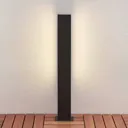 Lucande Aegisa LED path light, 80 cm