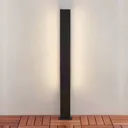 Lucande Aegisa LED path light, 110 cm