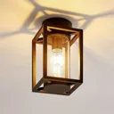 Lucande Ferda ceiling light for outdoors