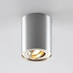 ELC Aleena downlight, adjustable, round, aluminium