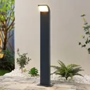 Lucande Tinna LED path light, 80 cm