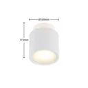 Arcchio Walisa ceiling lamp frosted glass white