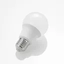LED bulb E27 A60 4.9 W 3,000 K opal