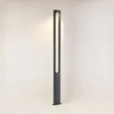 Lucande Dovino LED lamp post, 200 cm