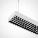 Susi LED office hanging light DALI dimmable white