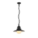 Lindby Roisin outdoor hanging light