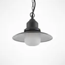 Lindby Roisin outdoor hanging light
