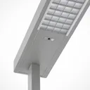 Arcchio Bilano LED floor lamp, daylight sensor