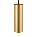 Lindby Cees pendant lamp, 1-circuit, black/gold