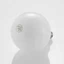 LED bulb E27 8 W 2,700 K G125 globe, dimmable opal