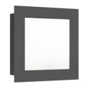 3007LED LED outdoor wall light, graphite