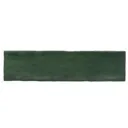 RAK Marakkesh Green Glossy Tiles - 65 x 260mm
