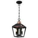 Westinghouse Valley Forge hanging light