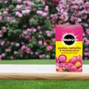 Miracle-Gro Rhododendron Plant feed Granules 1kg