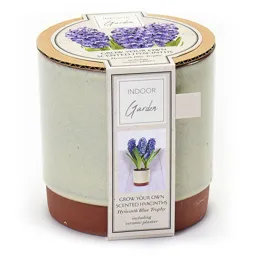 Hyacinth Ceramic Large Pot