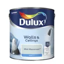 Dulux Mint macaroon Matt Emulsion paint, 2.5L