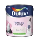Dulux Blush pink Silk Emulsion paint, 2.5L
