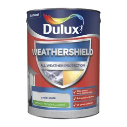 Dulux Weathershield All weather protection Pale slate Smooth Matt Masonry paint, 5L