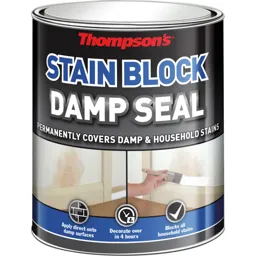 Ronseal Thompsons Damp Seal - White, 2.5l