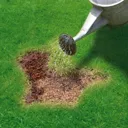 Miracle-Gro Lawn patch repairer 13m² 1L 1kg