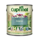 Cuprinol Garden shades Seagrass Matt Wood paint, 1L