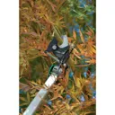Draper Universal Tree Pruner and Loppers - 1.55m