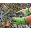 Draper Expert Gardening Gloves - Grey / Green, M
