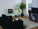 Dimplex Bizet Wall Mounted Remote Control Electric Fire - BZT20N