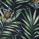 Fresco Green & navy Hummingbird Smooth Wallpaper