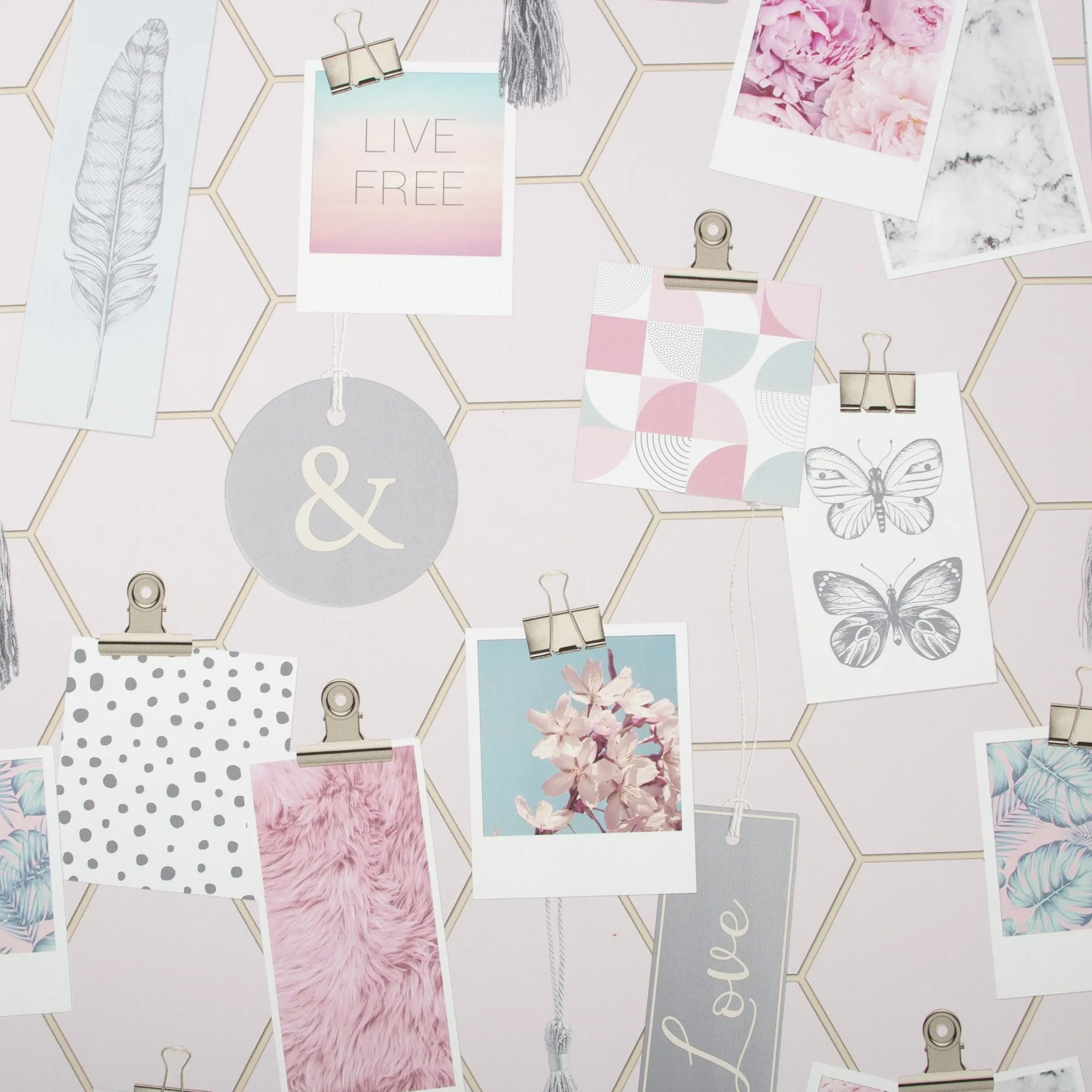 Fresco Pink Clip frames Gold effect Smooth Wallpaper