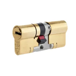 Platinum Brass Single Euro Cylinder lock, (L)100mm