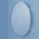 Croydex Tay Single Oval Door Stainless Steel Mirror Cabinet 650 x 450mm - WC870105