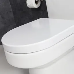 Croydex Eyre Flexi-Fit Soft Close D Shape White Thermoset Plastic Toilet Seat - WL601522H