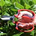 Spear and Jackson Razorsharp Comfort Garden Scissors
