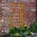 Forest Heavy Duty Trellis 183 x 122cm Treated Golden Brown (Pack of 10)
