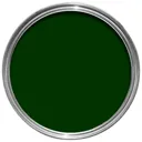 Rust-Oleum Painter's touch Dark green Gloss Multi-surface paint, 20ml