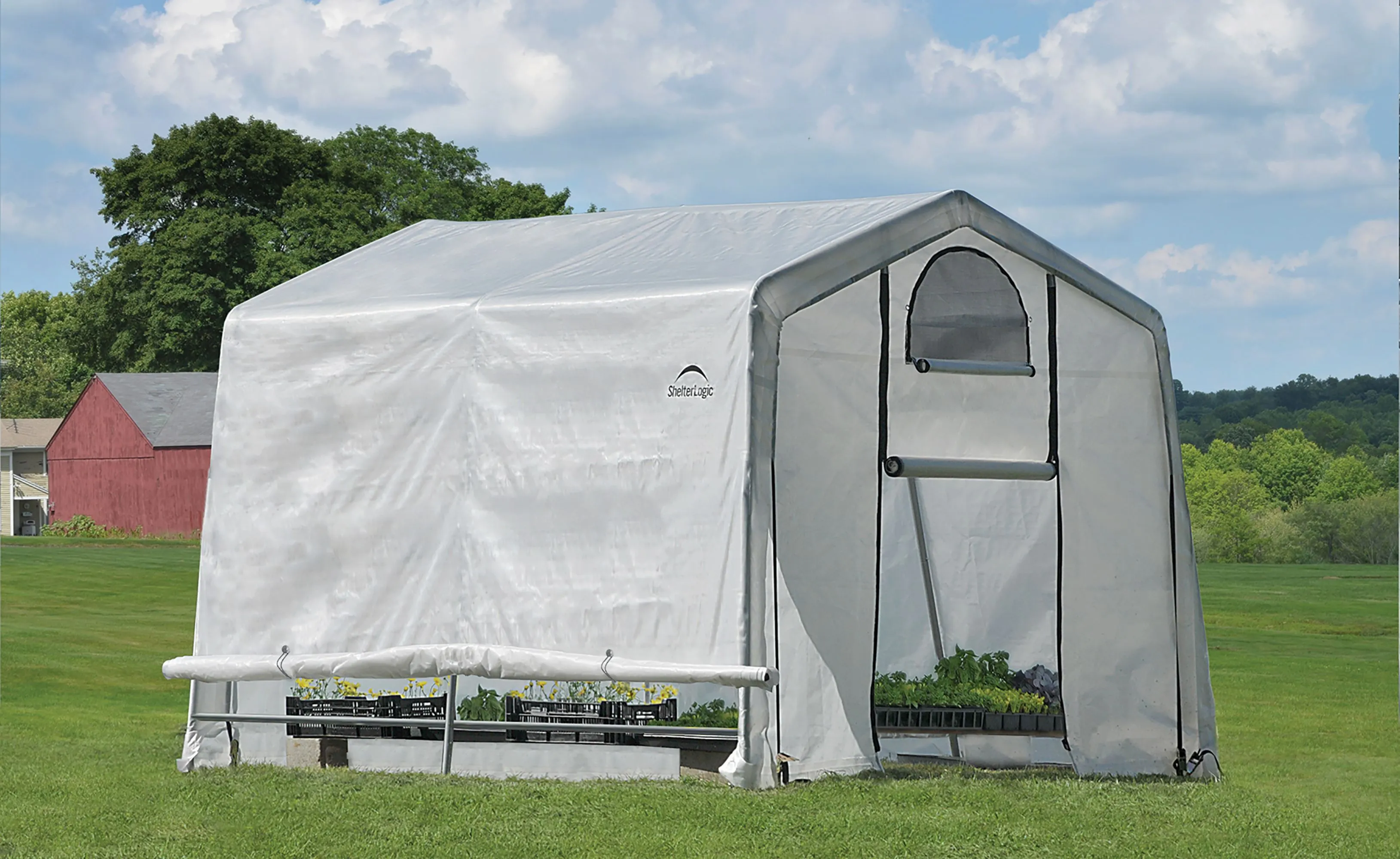 Shelterlogic 10x10 Apex Greenhouse