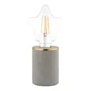 Paige Grey Table lamp