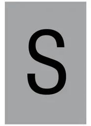 The House Nameplate Company Silver effect uPVC Self-adhesive House letter S, (H)60mm (W)40mm