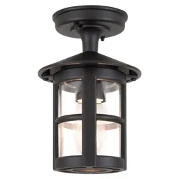 Hereford outdoor ceiling light