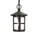 Hereford outdoor hanging light