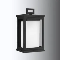 Modern Roscoe wall lantern for outdoors