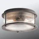 Robust Ashland Bay outdoor ceiling lamp