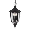 English Bridle hanging light for outdoors, bronze