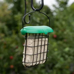 Westland Flip top Steel Suet block Bird feeder
