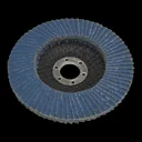 Sealey Zirconium Abrasive Flap Disc - 100mm, 80g